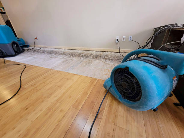 Professional Basement Flood Cleanup technician working in Davison, MI